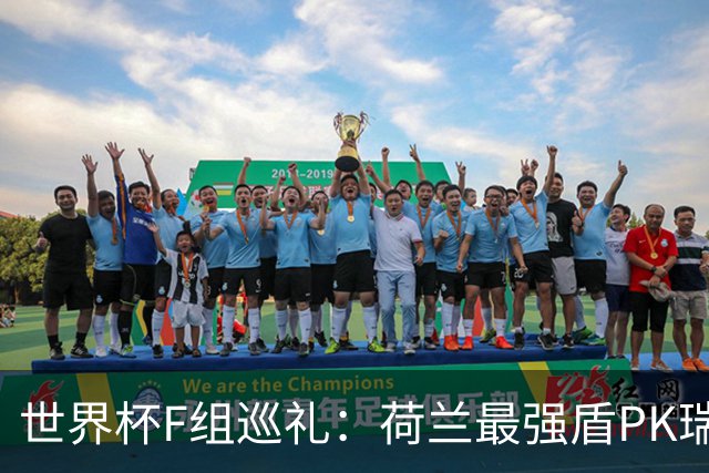 世界杯F组巡礼：荷兰最强盾PK瑞典犀利刀 日本短板明显
